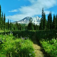 Gifford Pinchot National Forest - All You Need To Know Before You Go (2024)