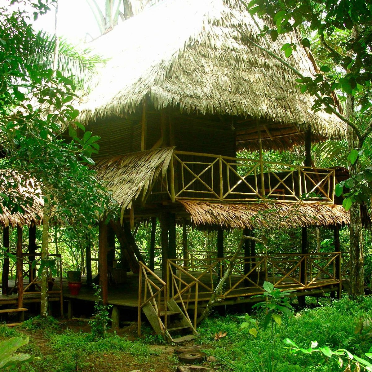 Allpahuayo Mishana Bed & Trees (Iquitos) - All You Need to Know BEFORE ...