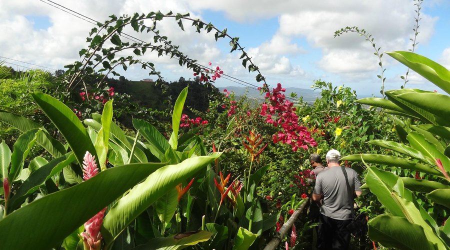 le jardi de la montagne