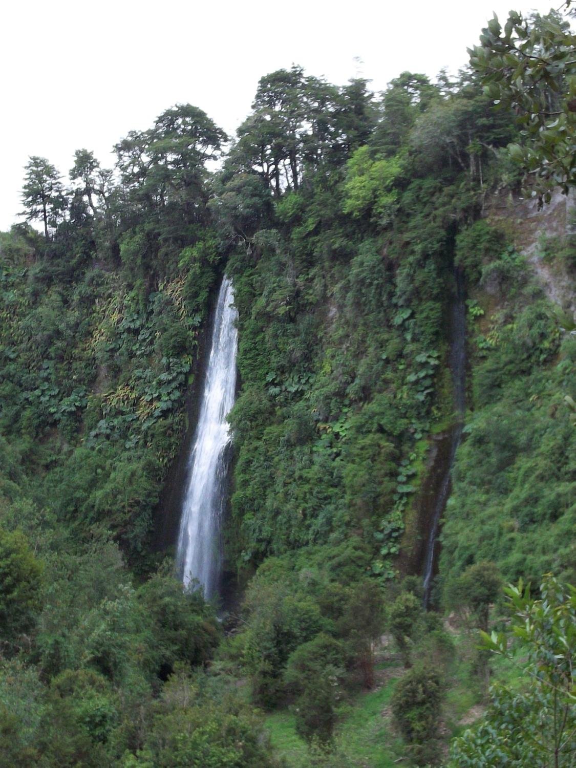 CASCADAS DE TOCOIHUE (Dalcahue): Tutto quello che c'è da sapere