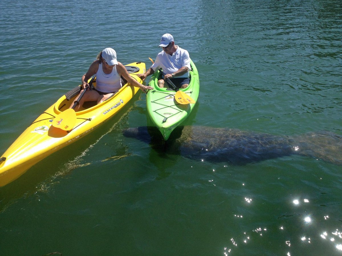 Happy Paddler Kayak Tours: Explore Serene Waters Today