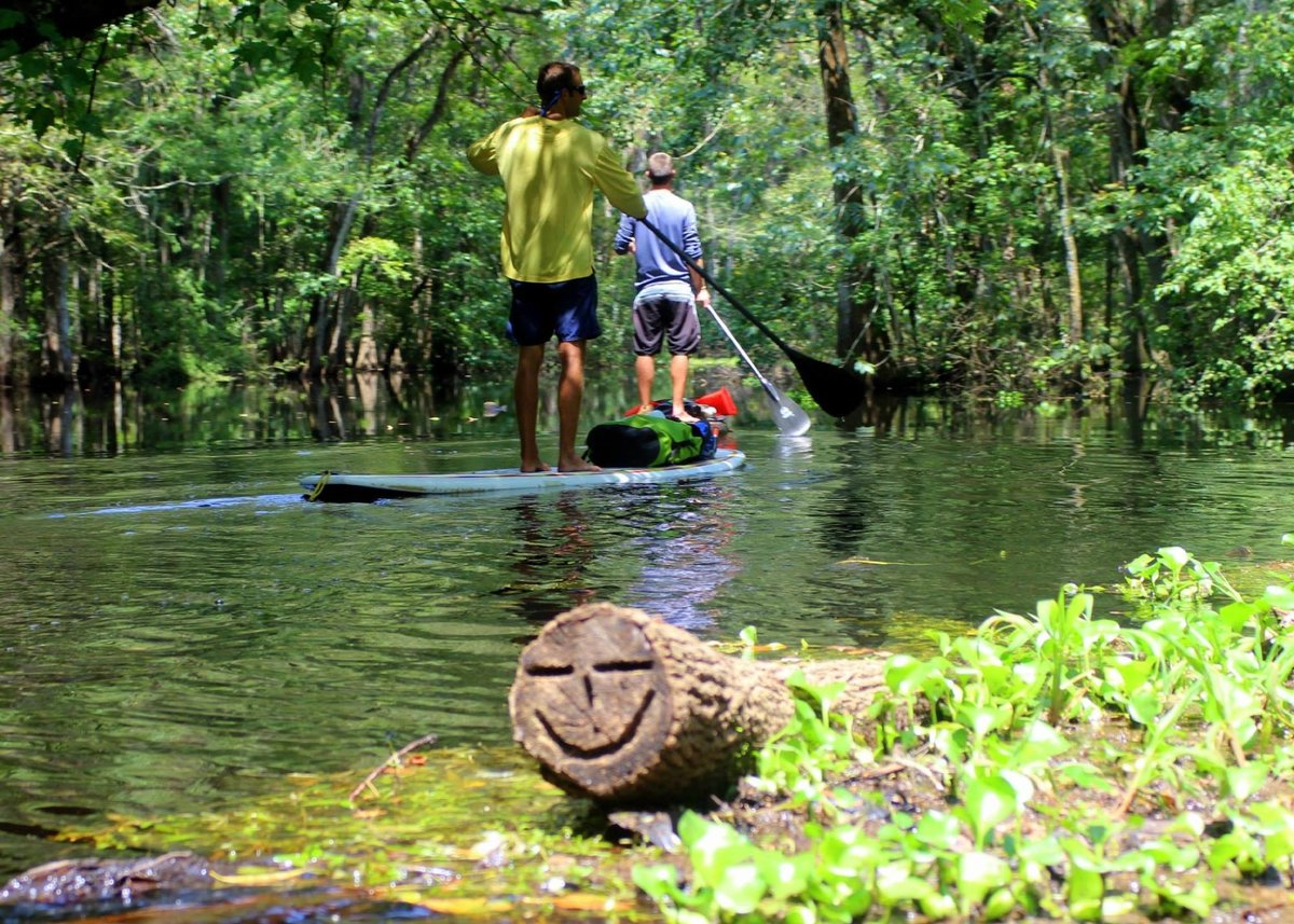 Happy Paddler Kayak Tours And Ecoventures Anna Maria Island All You Need To Know Before You Go