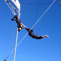 Terry Cavaretta Trapeze Experience - All You Need to Know BEFORE You Go ...