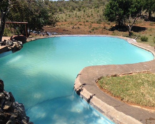 THE CLOSEST Hotels Madikwe Nature Reserve Tripadvisor Find