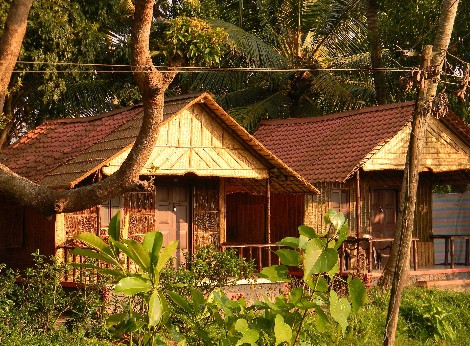 Cottages in Alappuzha image