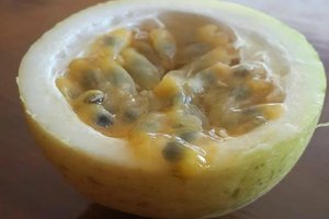 Comida
