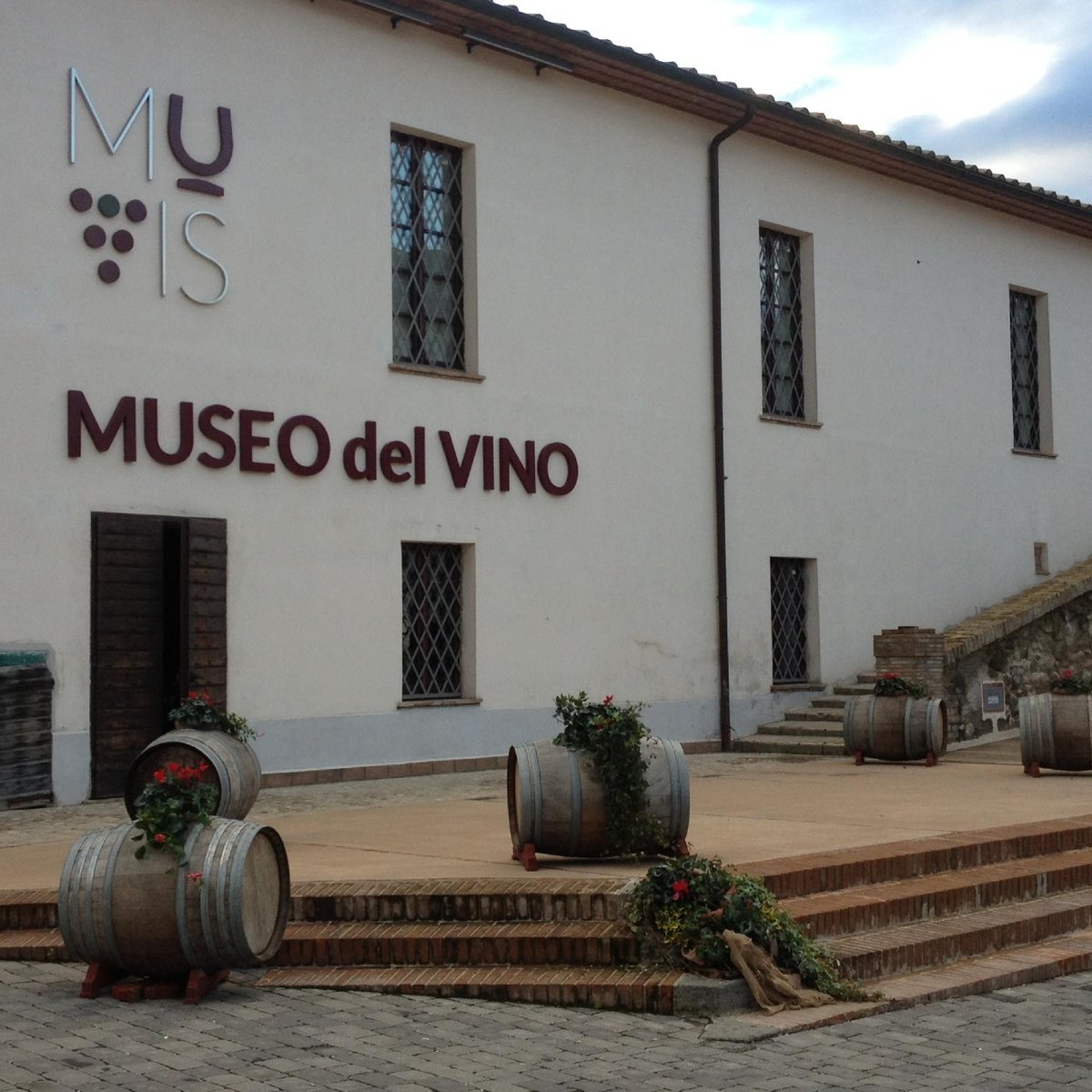 MUVIS - Museo del Vino - Qué SABER antes de ir (ACTUALIZADO 2024) -  Tripadvisor