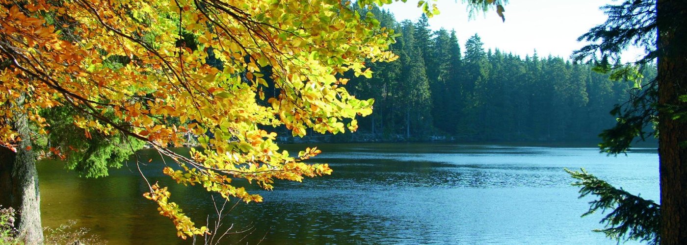 Glaswaldsee