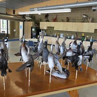 Ducks on a Stick