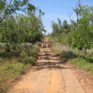 Way from Kalasa road to Bhagavathi Nature Camp