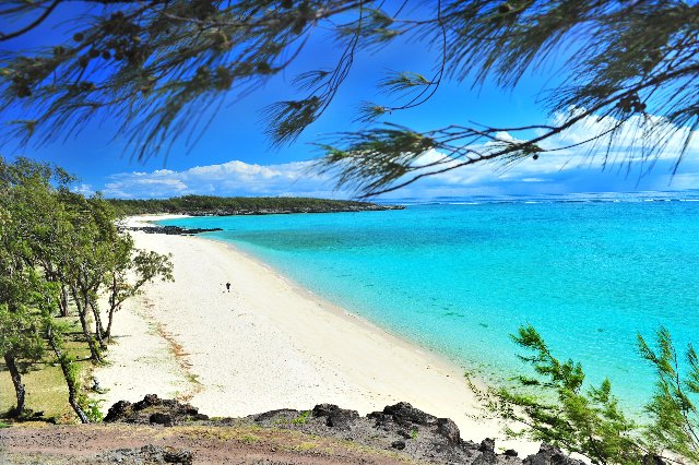 Ile aux Cocos image