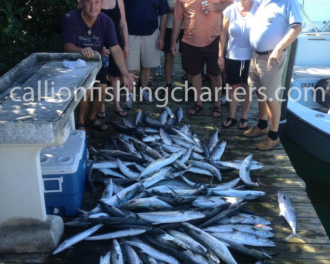spanish mackerel closures Archives - Topnotch Game Fishing