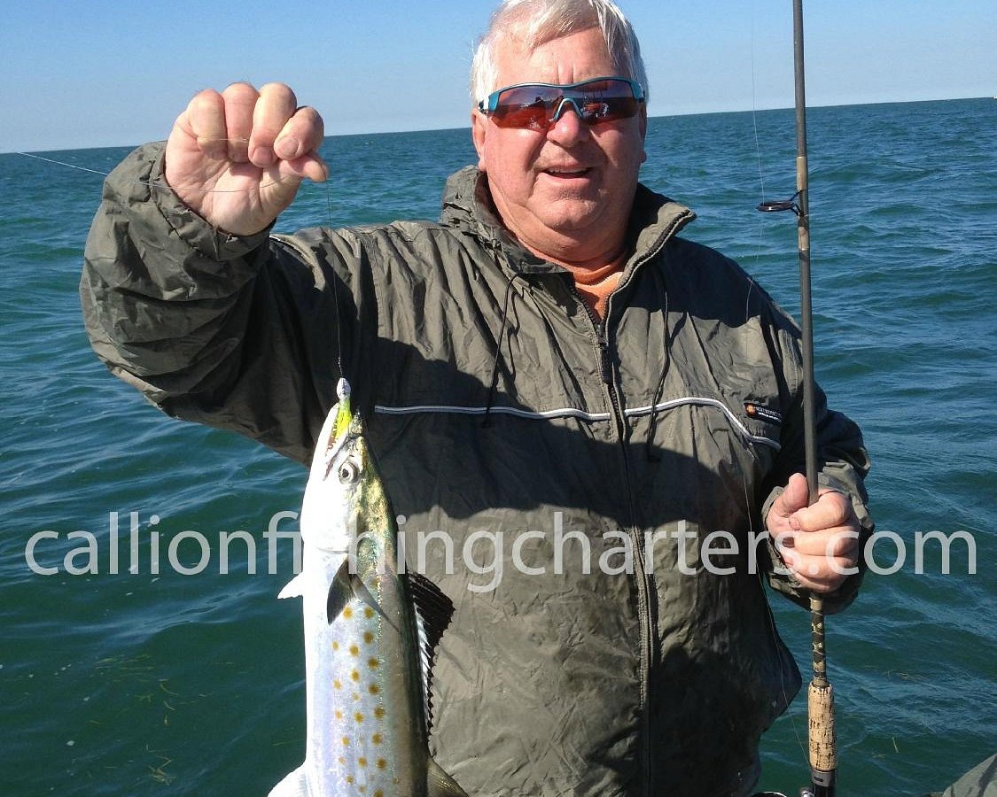 spanish mackerel closures Archives - Topnotch Game Fishing