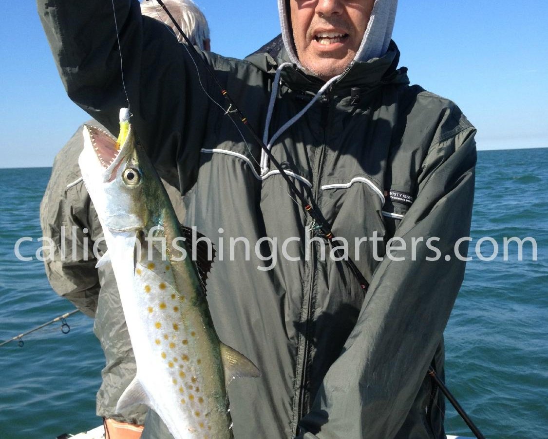 Spanish Mackerel fishing Archives - Topnotch Game Fishing