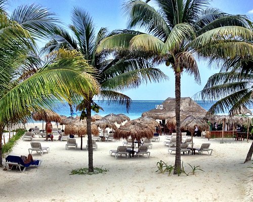 THE BEST Puerto Morelos Bars & Clubs (with Photos) - Tripadvisor