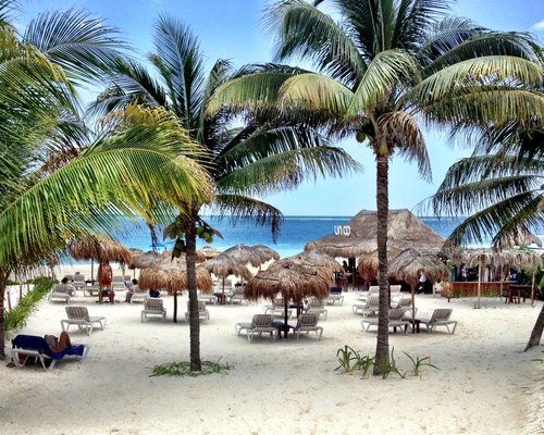 THE BEST Puerto Morelos Bars & Clubs (with Photos) - Tripadvisor