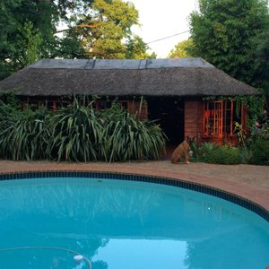 pool/bar