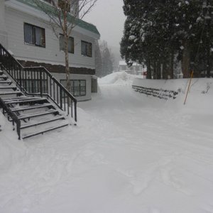 View of driveway from car park