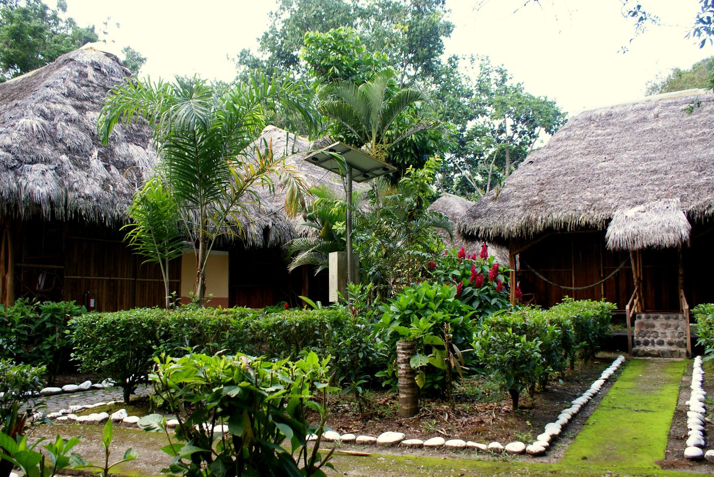 ISLA ECOLOGICA MARIANA MILLER LODGE - Prices & Reviews (Puerto Napo ...