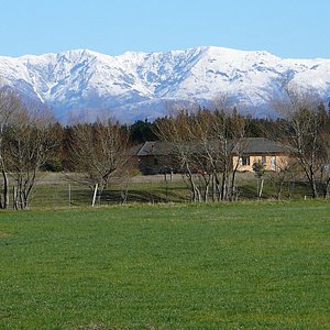 view to the alps in winter
