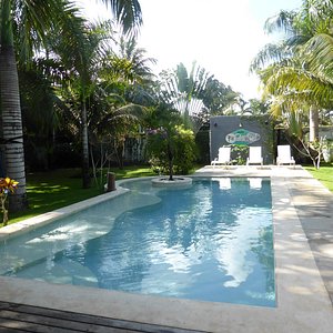 Pool from sunloungers