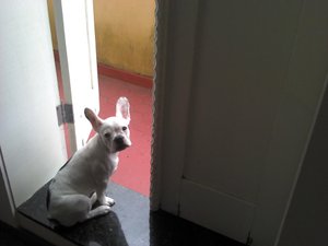 Quarto e suíte