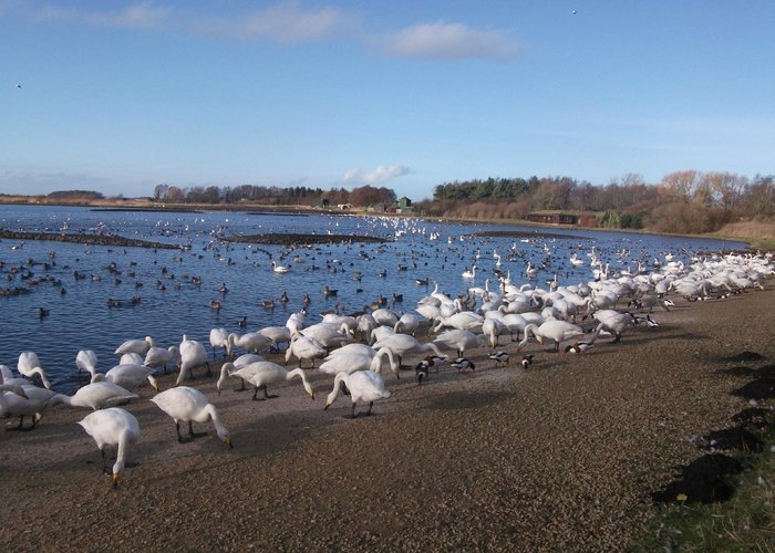 Ormskirk, England Tourismus in Ormskirk Tripadvisor