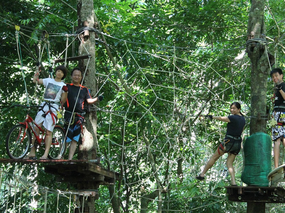 titel tæppe krone Tree Top Adventure Park Krabi (Ao Luek, Thailand) - anmeldelser -  Tripadvisor