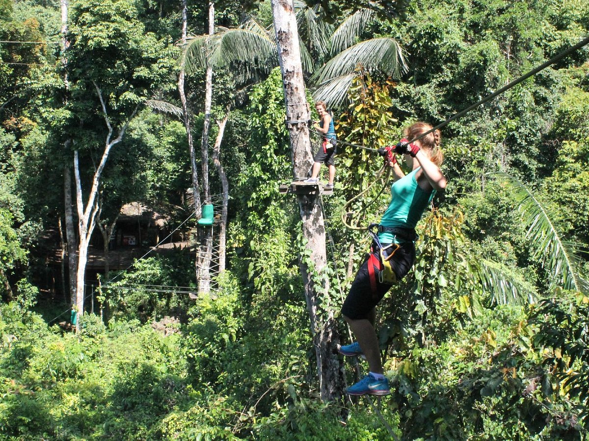 titel tæppe krone Tree Top Adventure Park Krabi (Ao Luek, Thailand) - anmeldelser -  Tripadvisor