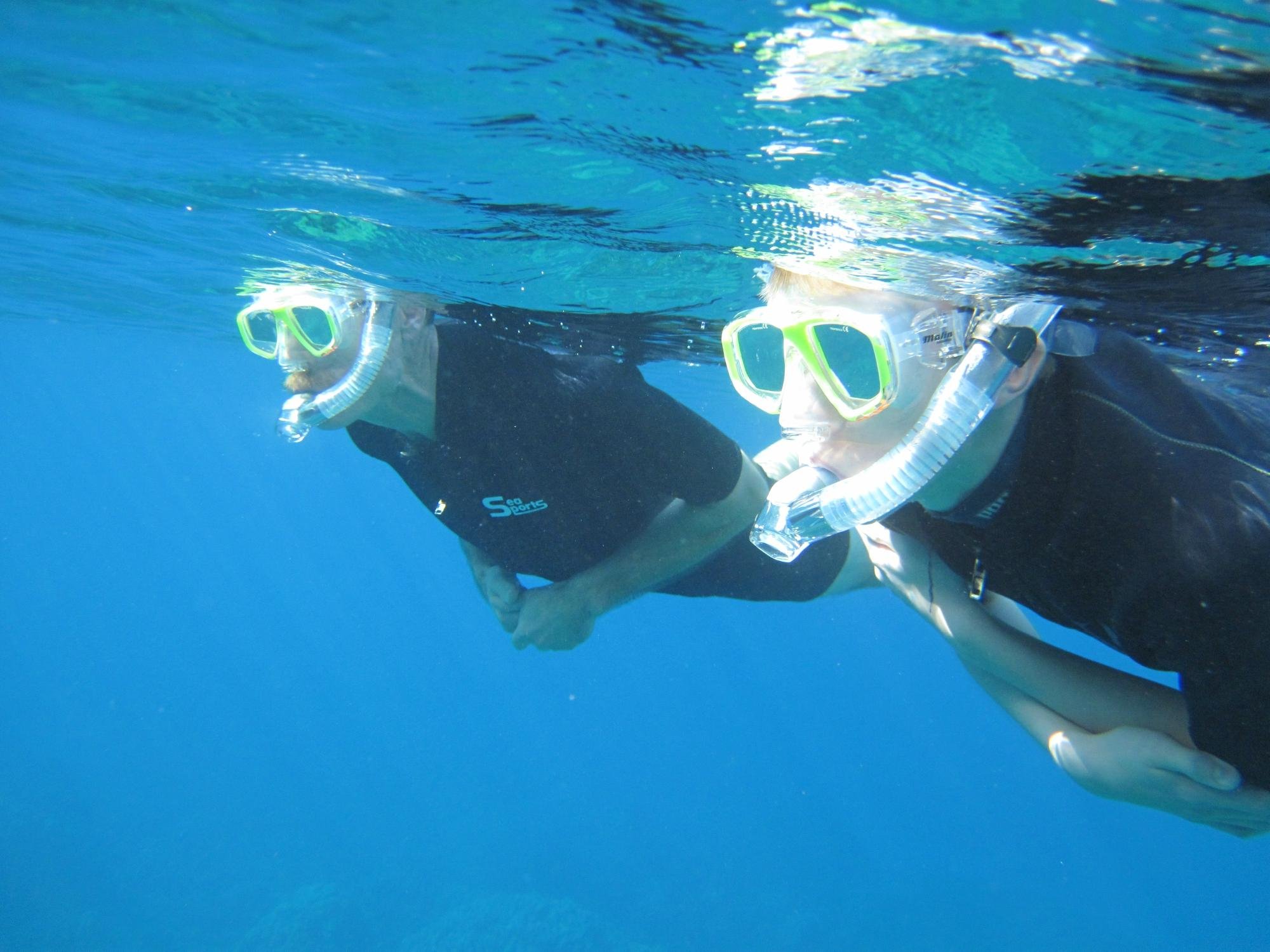 Maui Snorkel Tours Kihei Alles Wat U Moet Weten Voordat Je Gaat