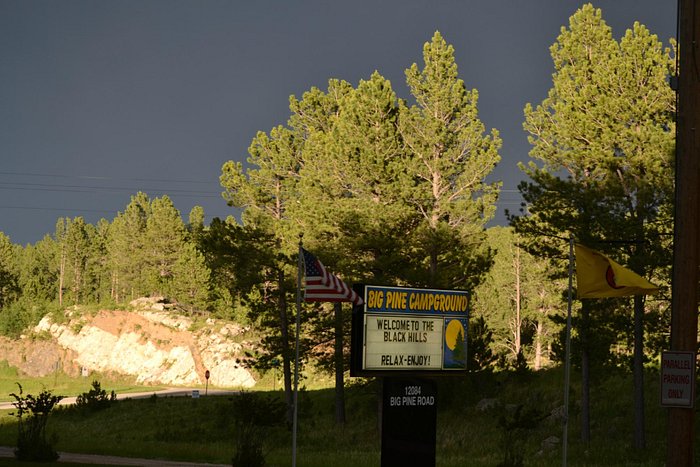 Big Pine Campground Updated 2024 Reviews Custer Sd 6699