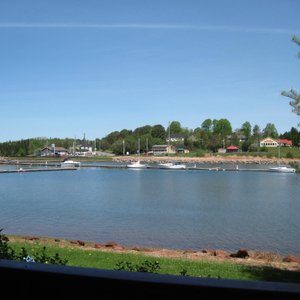 View of CArdigan Harbor and Marina