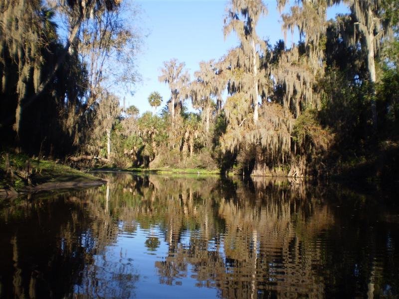 Peace River (Florida) - All You Need to Know BEFORE You Go