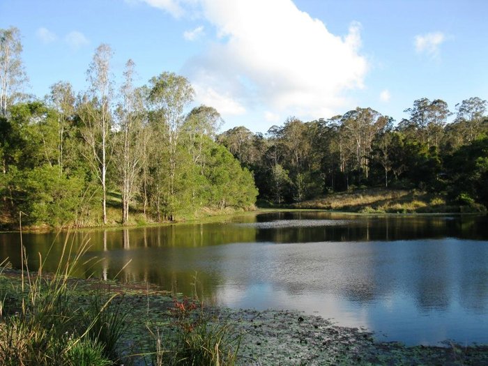 Crystal Waters Eco Village Kitchenettes: Pictures & Reviews - Tripadvisor