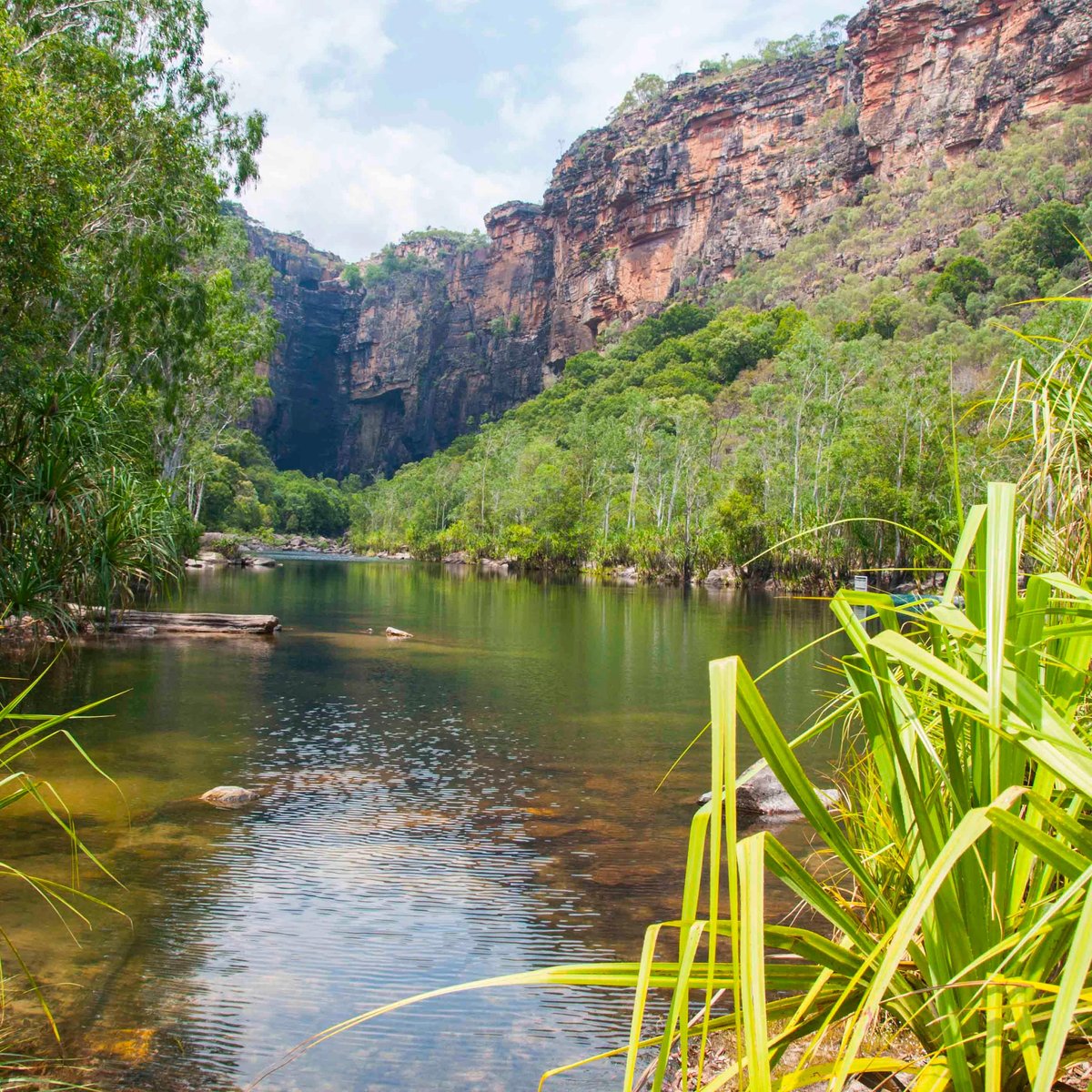 Jim Jim Falls (Kakadu National Park): All You Need to Know