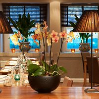 Interior Shot of Gamba Glasgow