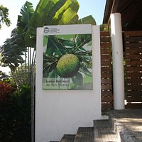 Jardin Botanico de San Andres