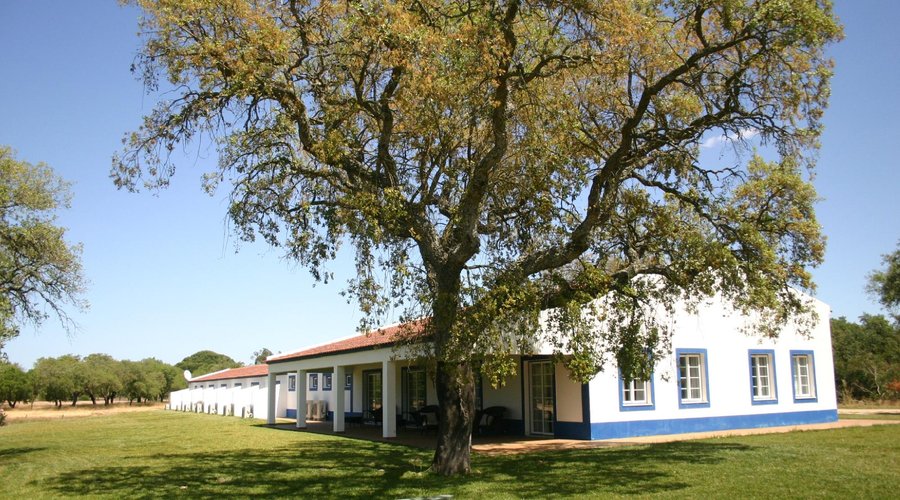 Envolvente Restaurante