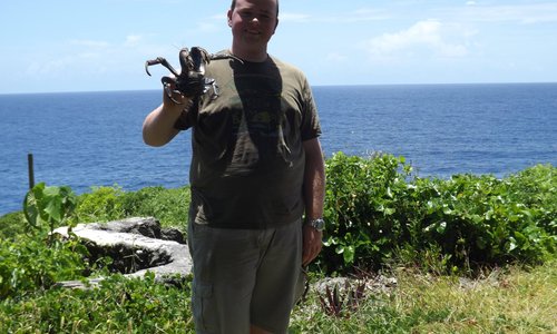 get to hold a Uga (coconut crab)