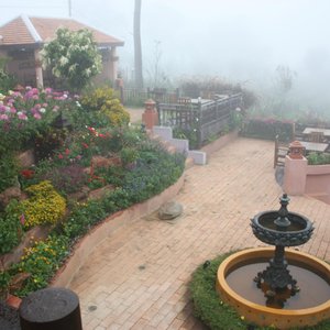 flower garden