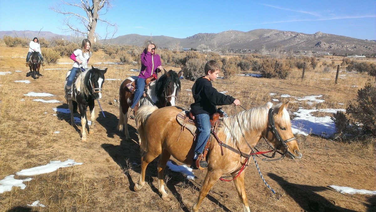 2022 O Que Fazer Em Carson City Os 10 Melhores Pontos Turísticos Tripadvisor 7974