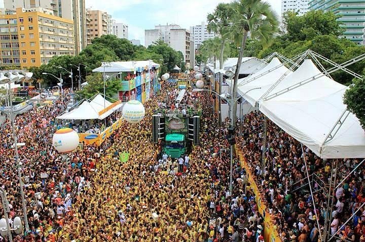 Pau Brasil® Brasil Salvador Carnival