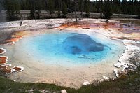 Fountain Paint Pot in Yellowstone National Park - AllTrips