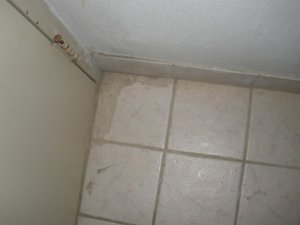 Room & Suite