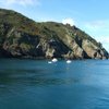 Things To Do in Sark Boat Trips, Restaurants in Sark Boat Trips