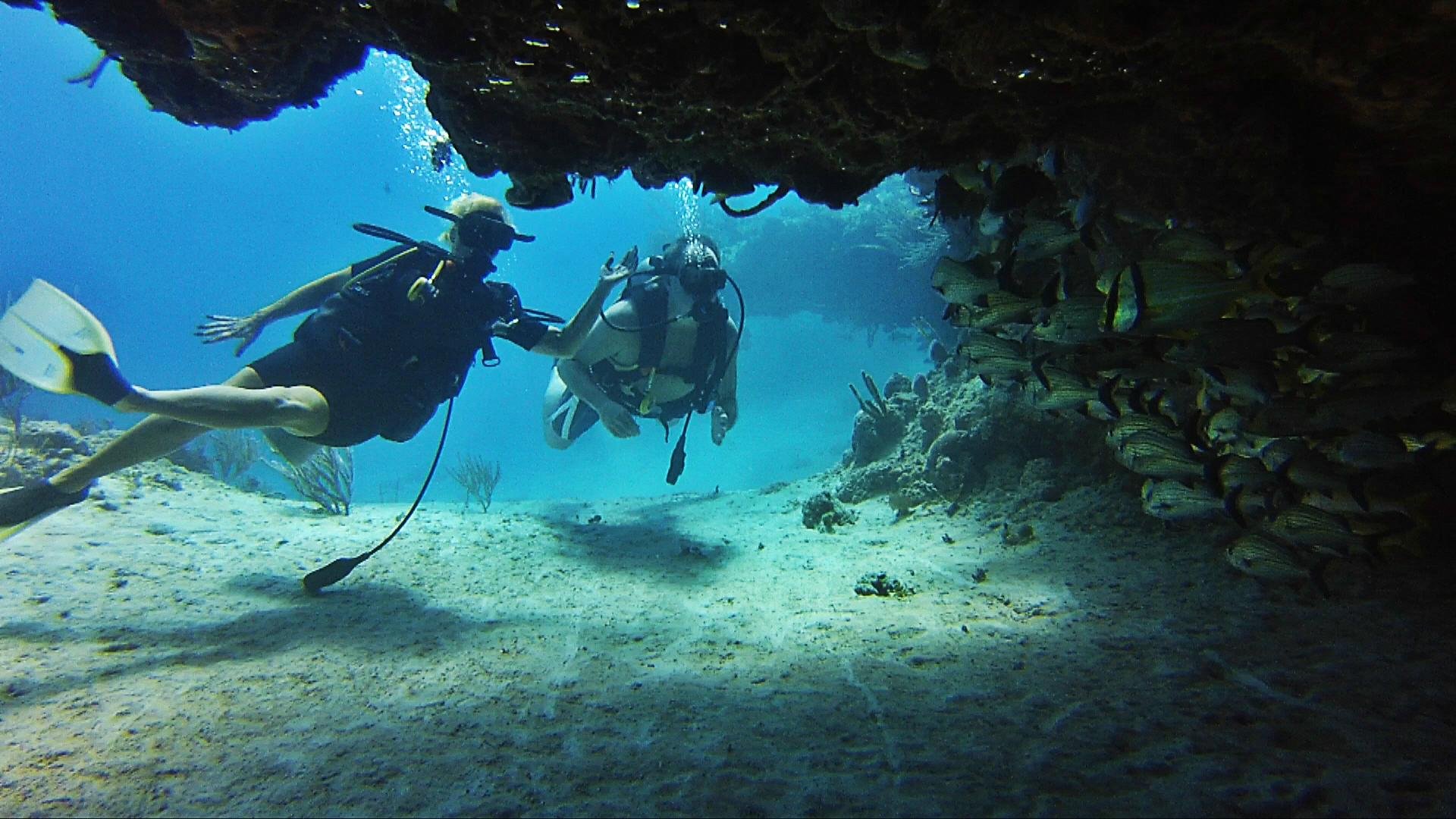 always diving cancun