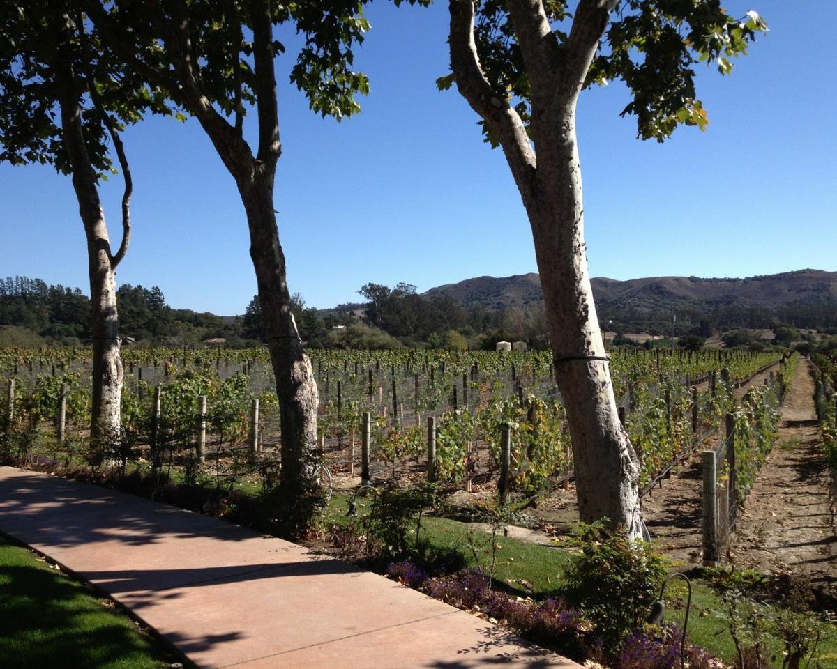 EOS Santa Barbara Wine Tours - All You Need to Know BEFORE You Go (2024)