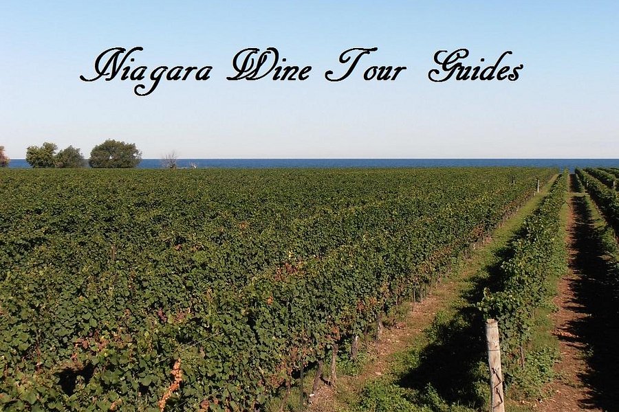 niagara on the lake wine tours reviews
