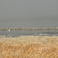 Bitter Lake National Wildlife Refuge - All You Need to Know BEFORE You ...