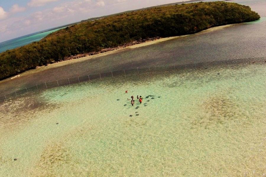 Stingray City Bahamas (Great Harbour Cay) - Alles wat u moet weten ...